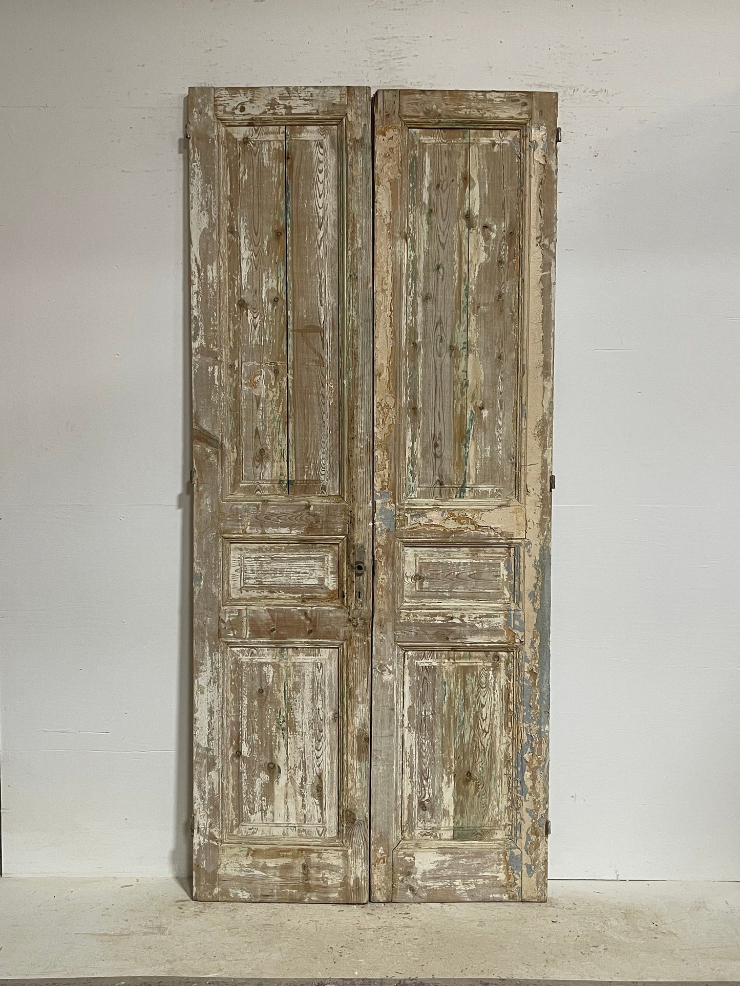 Antique French panel doors (98x43.75) G0156s