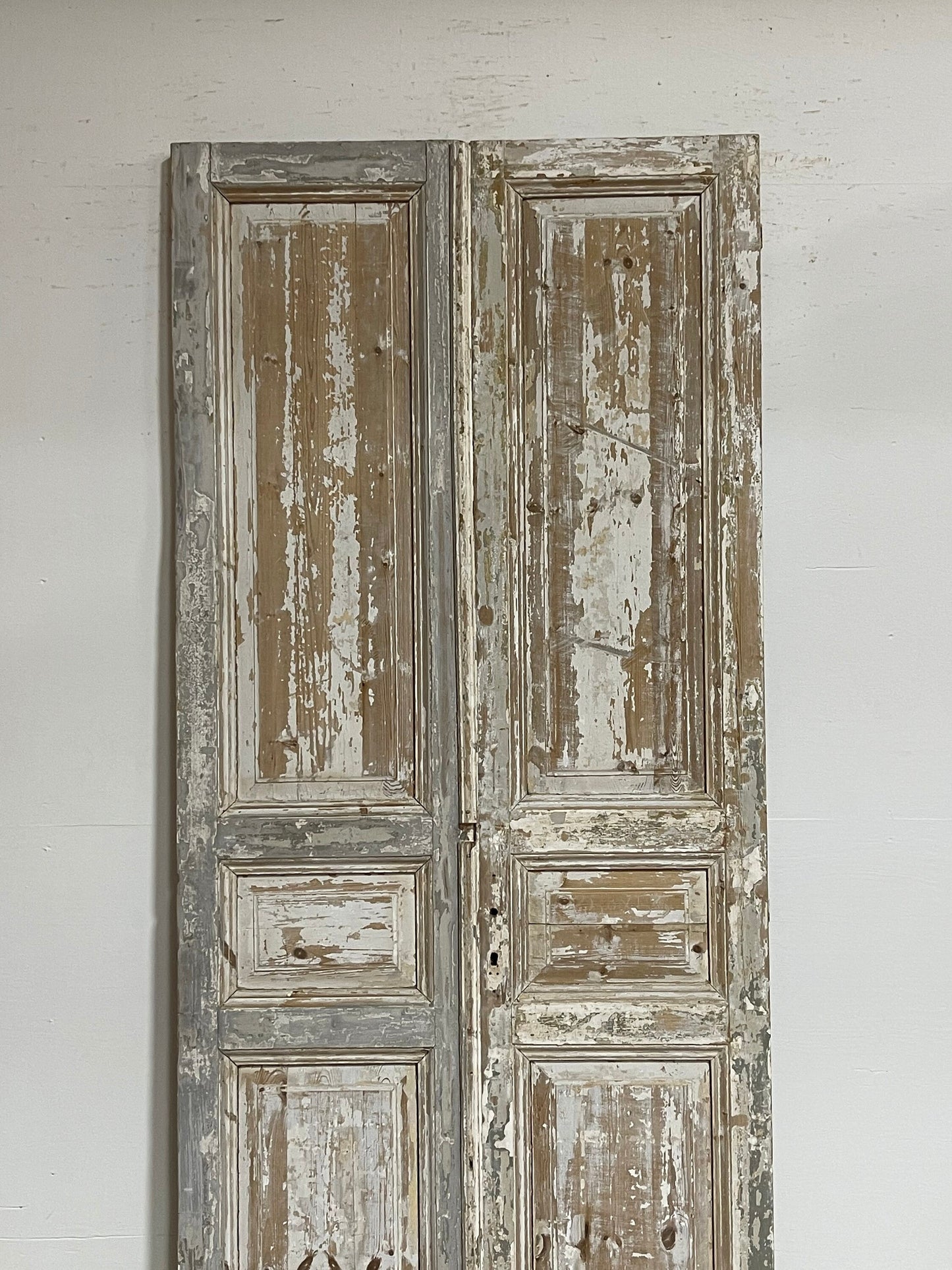 Antique French panel doors (98.5x43.25) G0157s