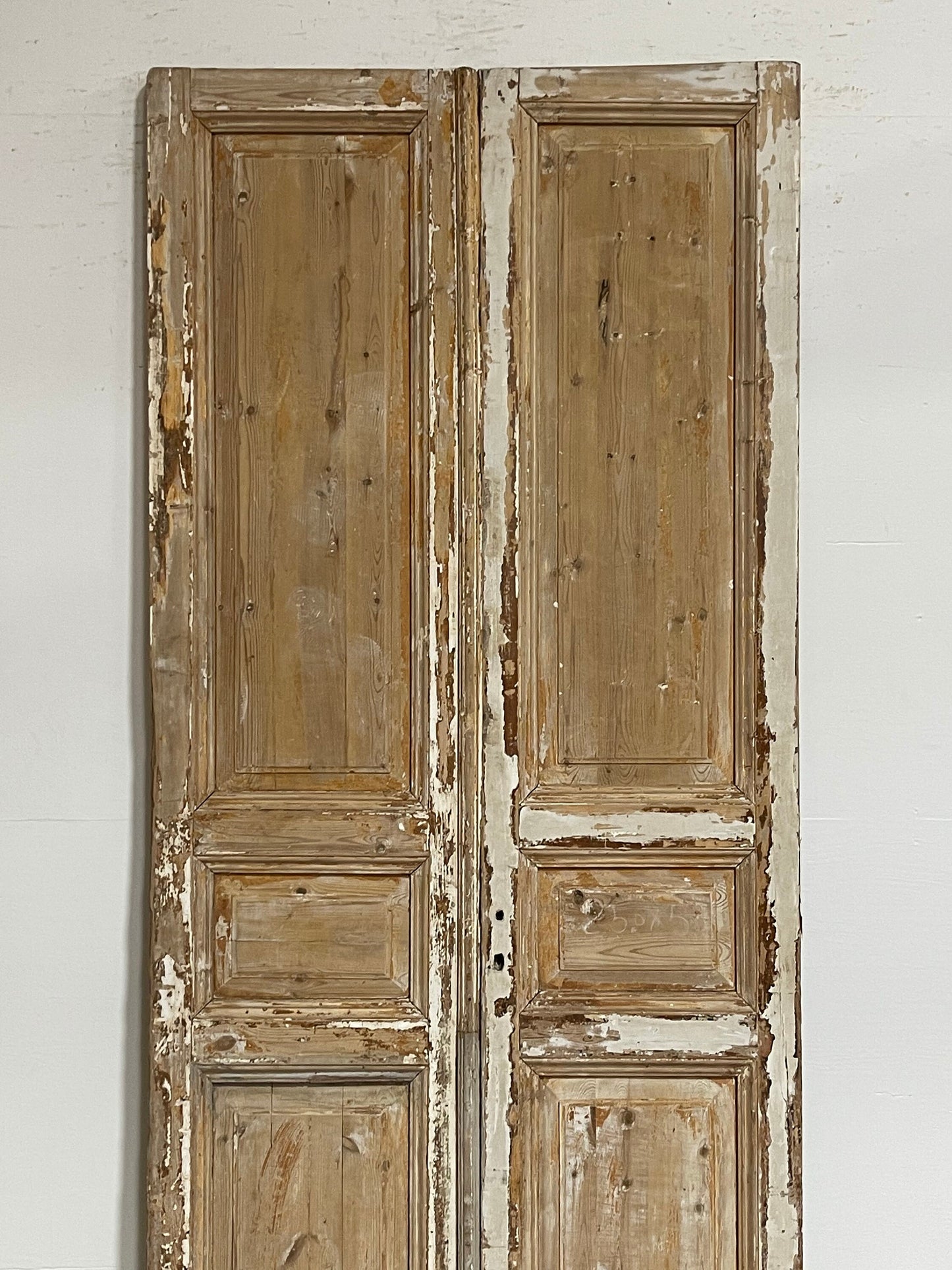 Antique French panel doors (98.5x43.5) G0158s