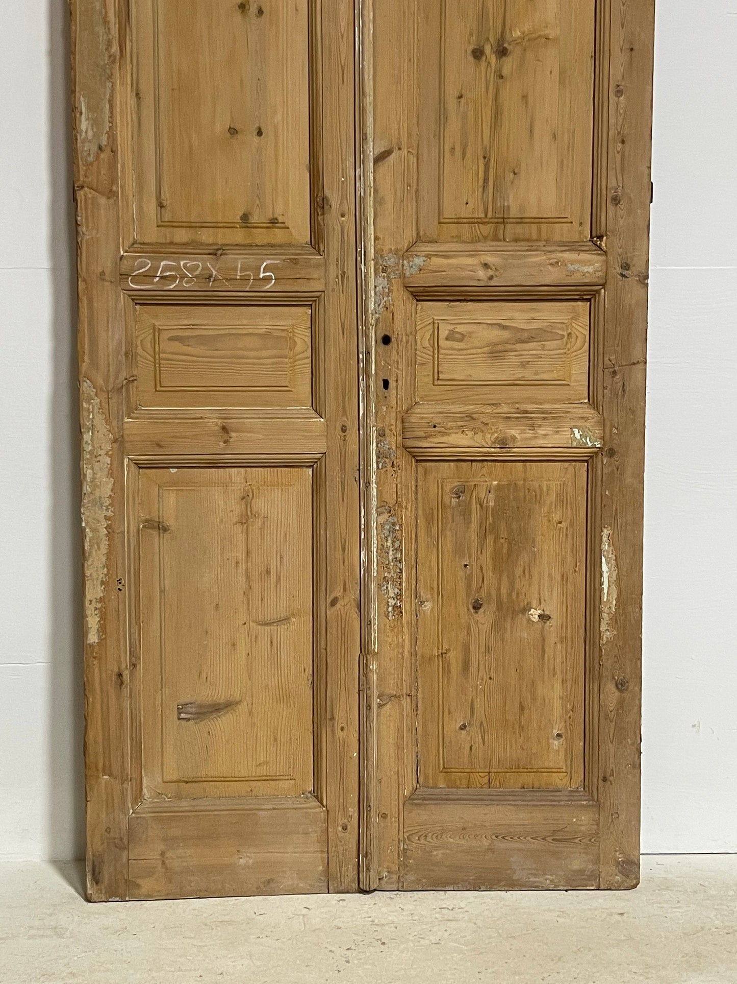 Antique French panel doors (101.5x42.5) G0181s