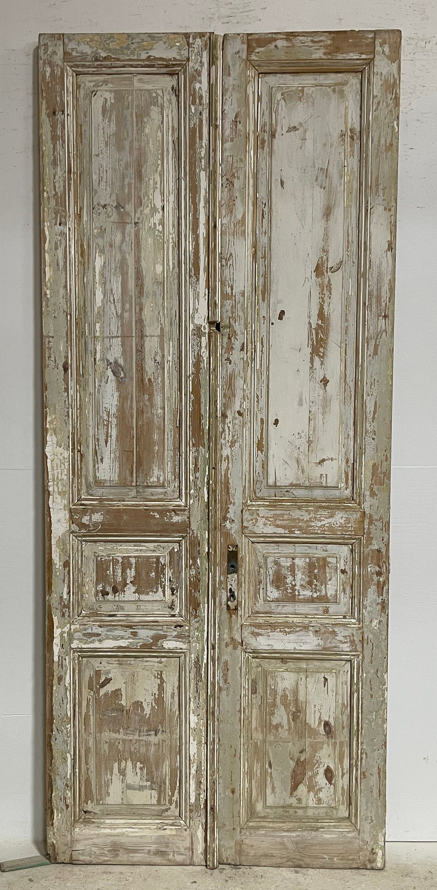 Antique French panel doors (98x41.25) G0188s