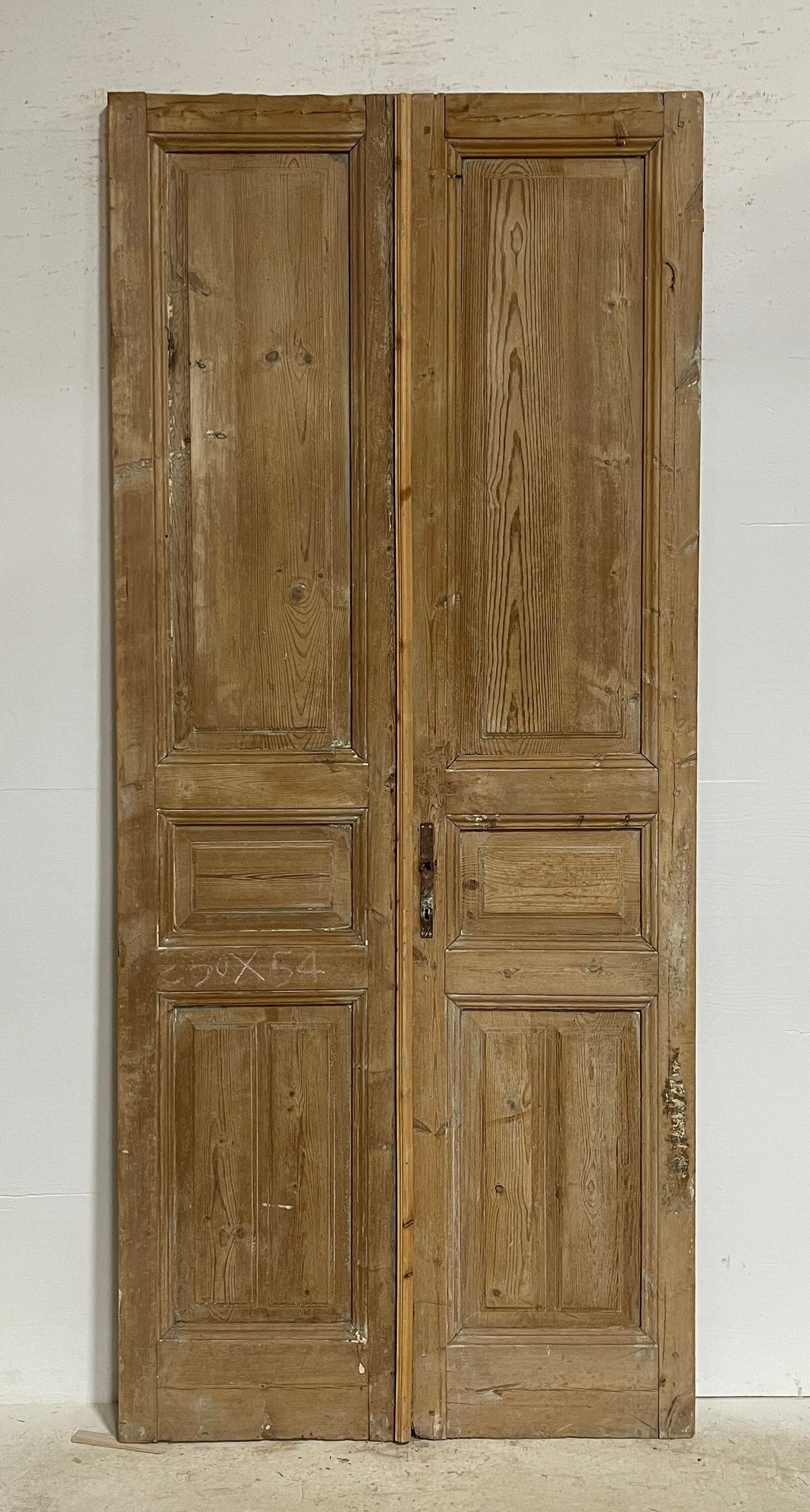 Antique French panel doors (97.5x42.5) G0200s