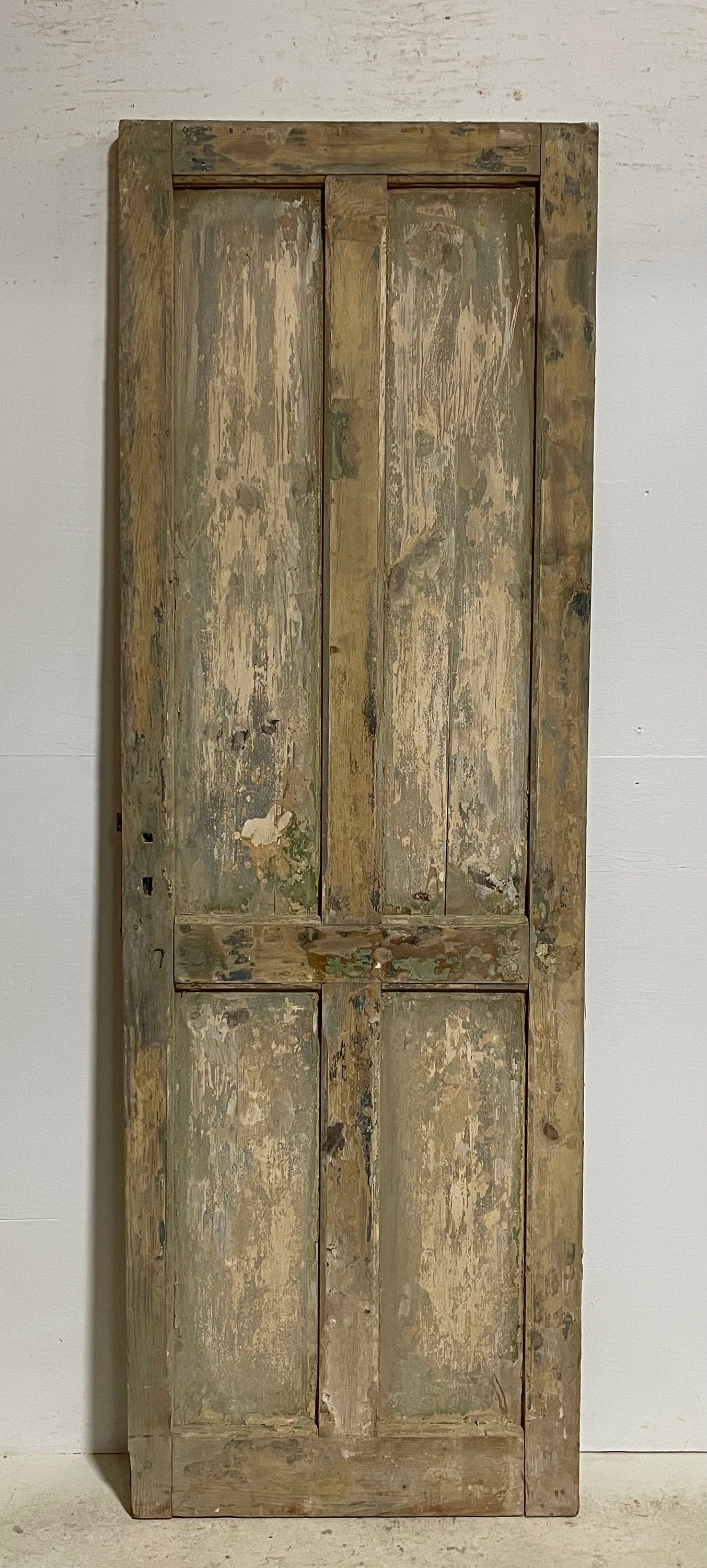 Antique French panel door (87x29.25) G1214s