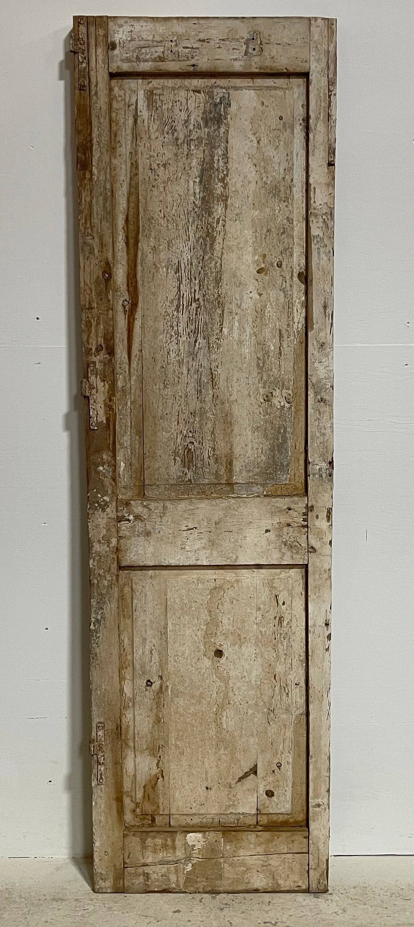 Antique French panel door (74.5x21.5) G1158s