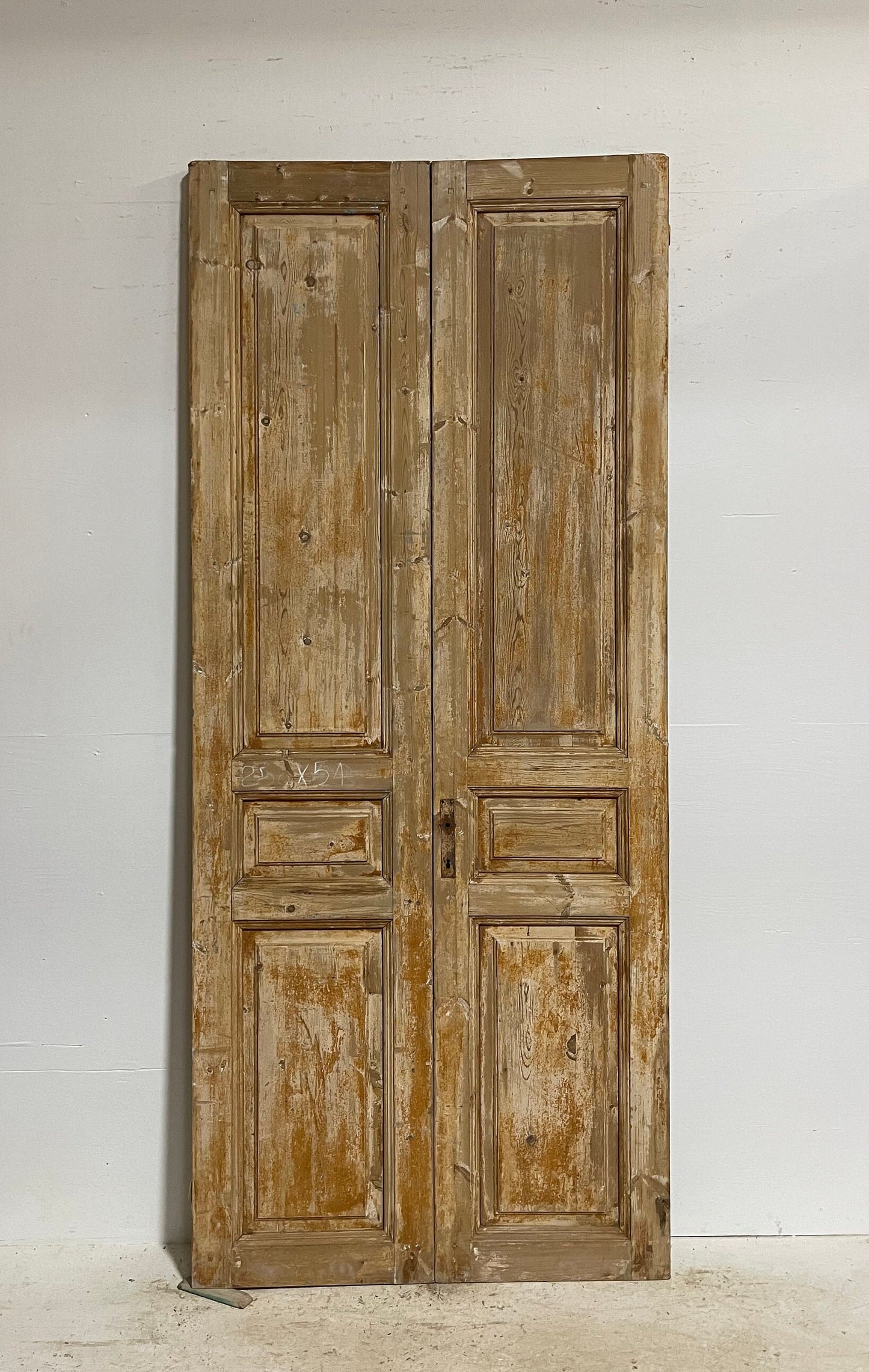 Antique French panel doors (98.5x42) G0058Bs