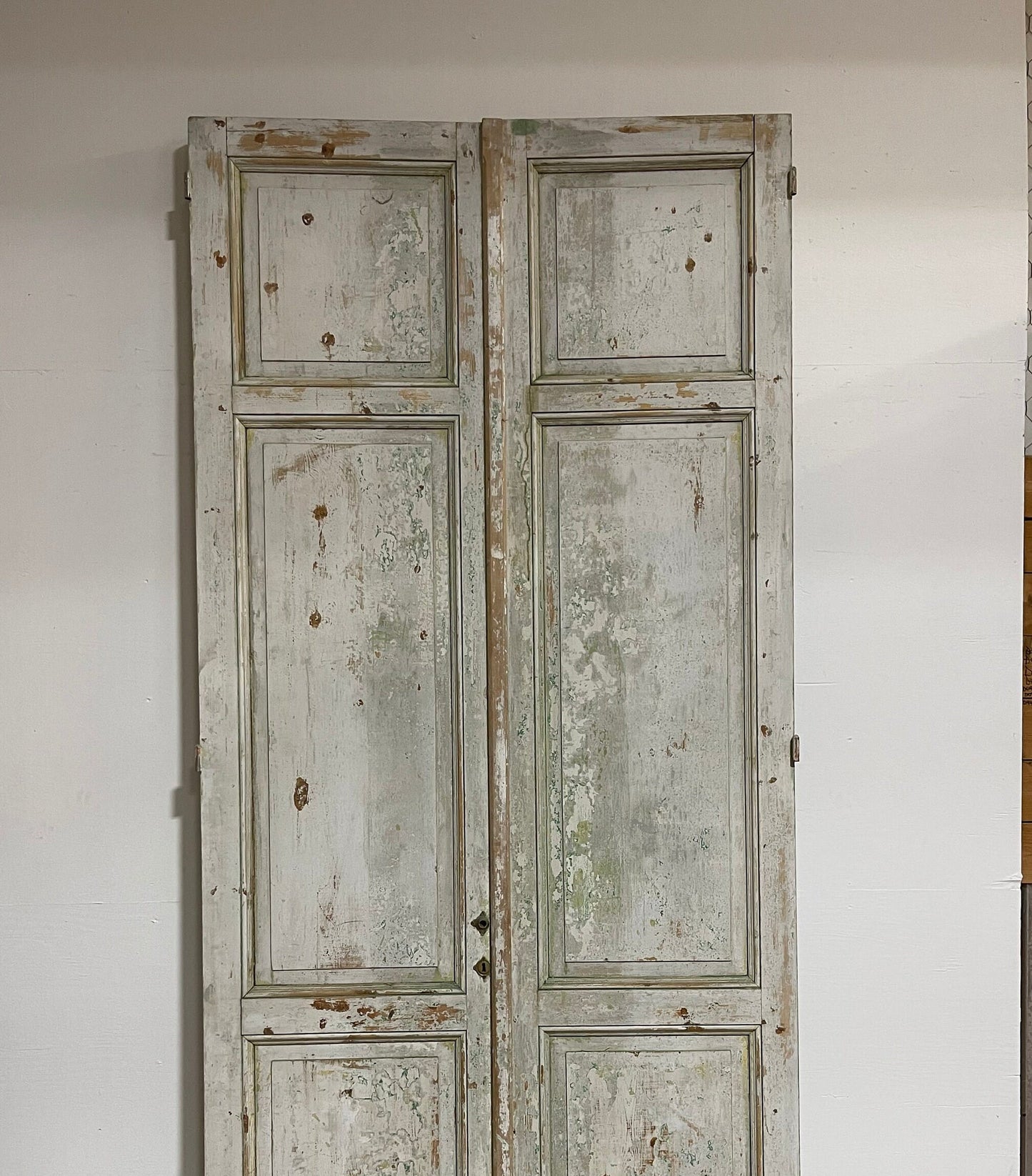 Antique French panel doors (116.25x52.25) G0061s
