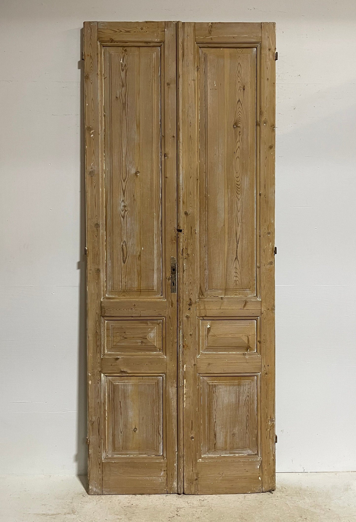Antique French panel doors (108x43.75) G0070s