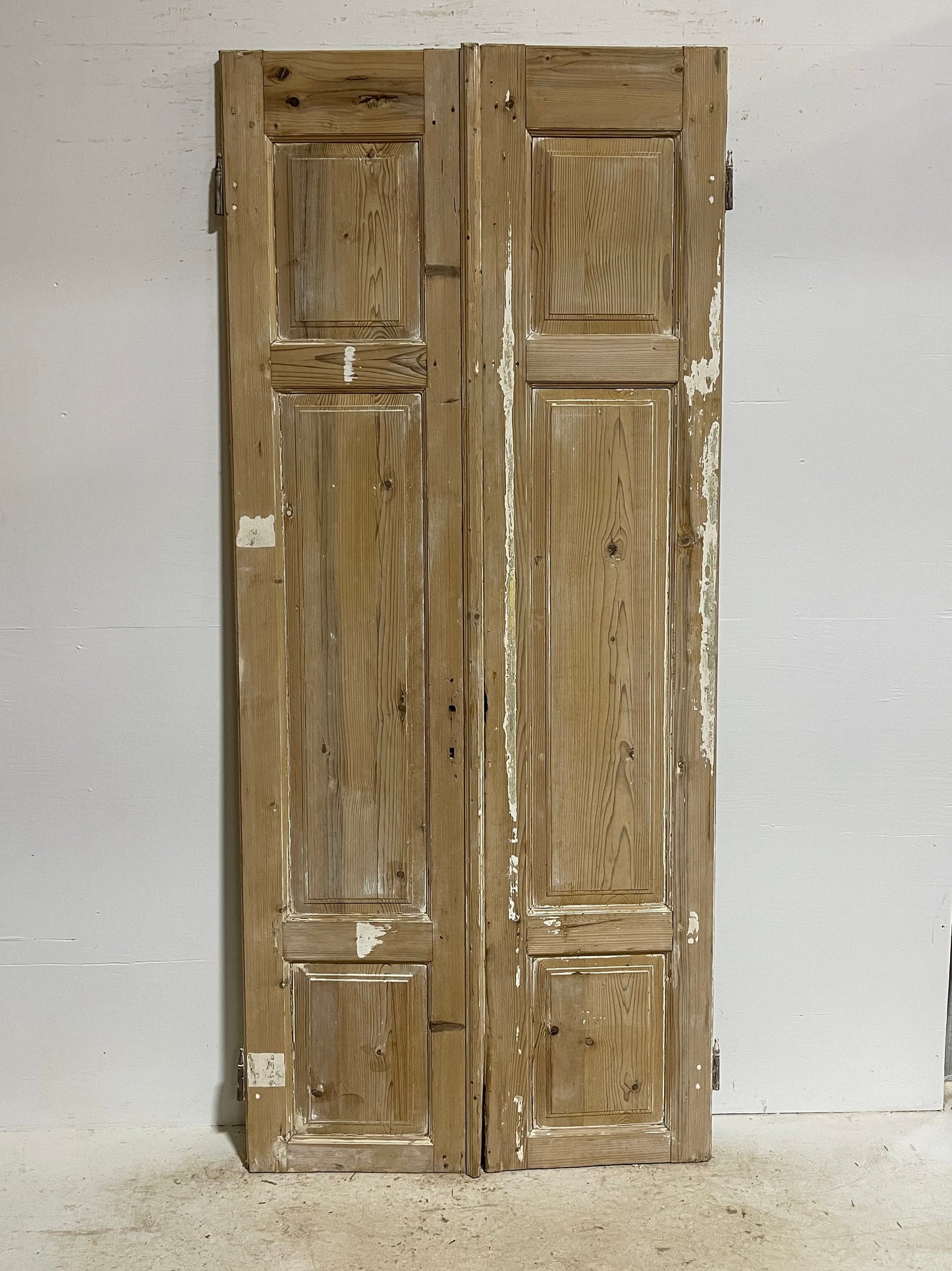 Antique French panel doors (95x40.5) G0072s