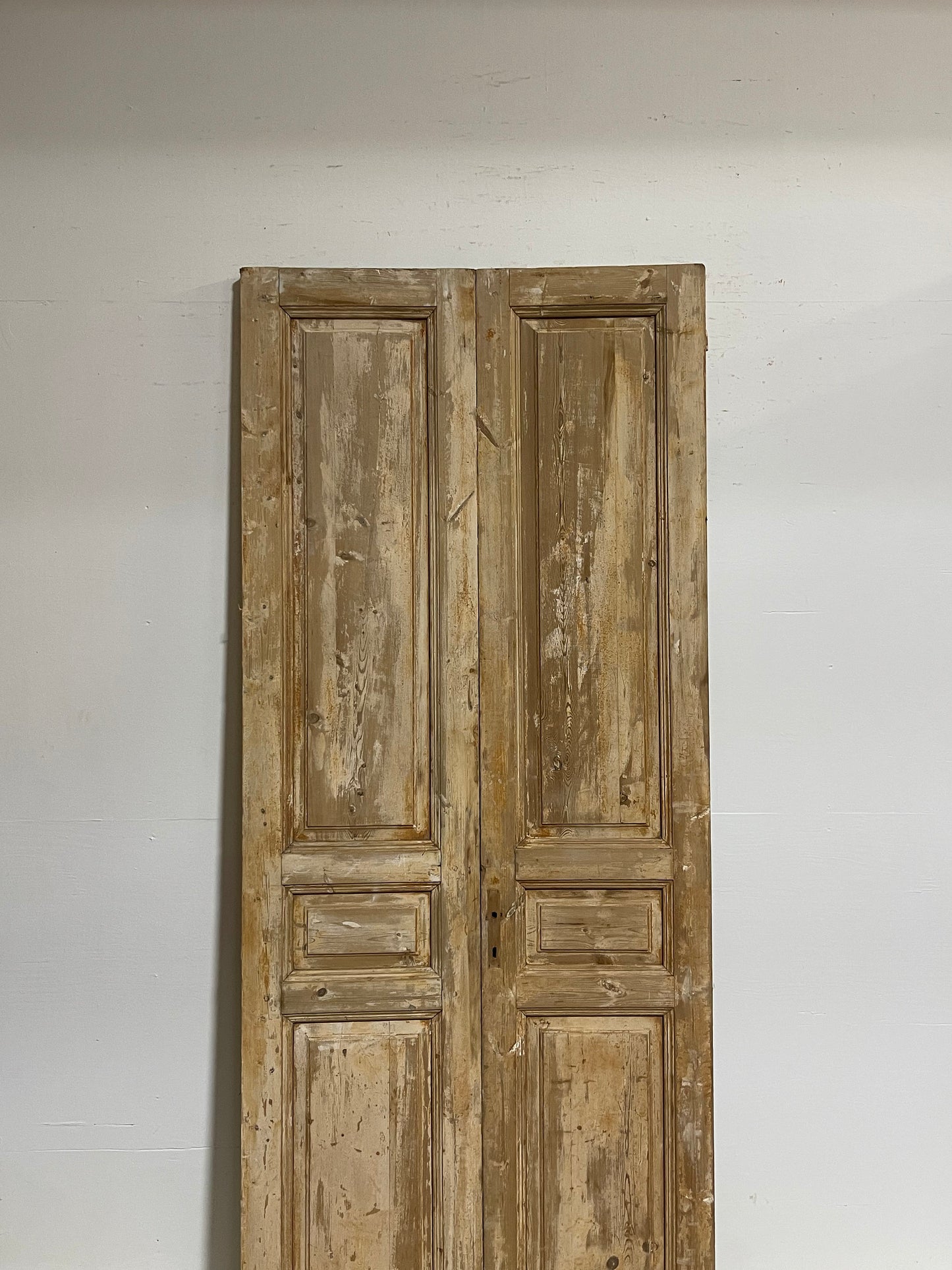 Antique French panel doors (98.5x42) G0074s