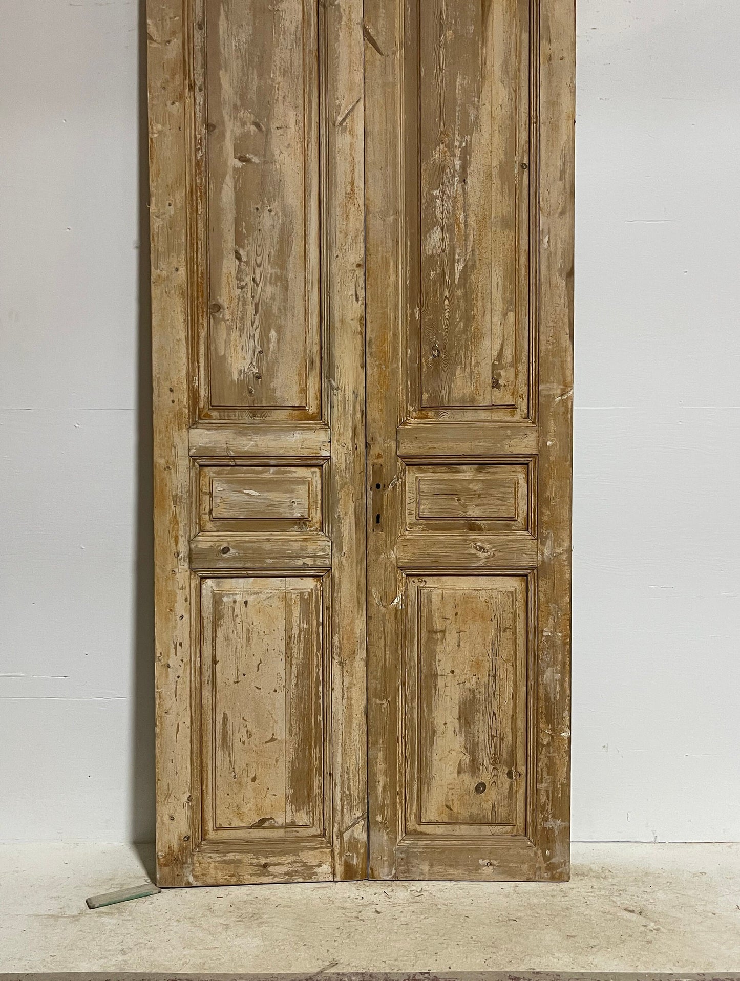 Antique French panel doors (98.5x42) G0074s