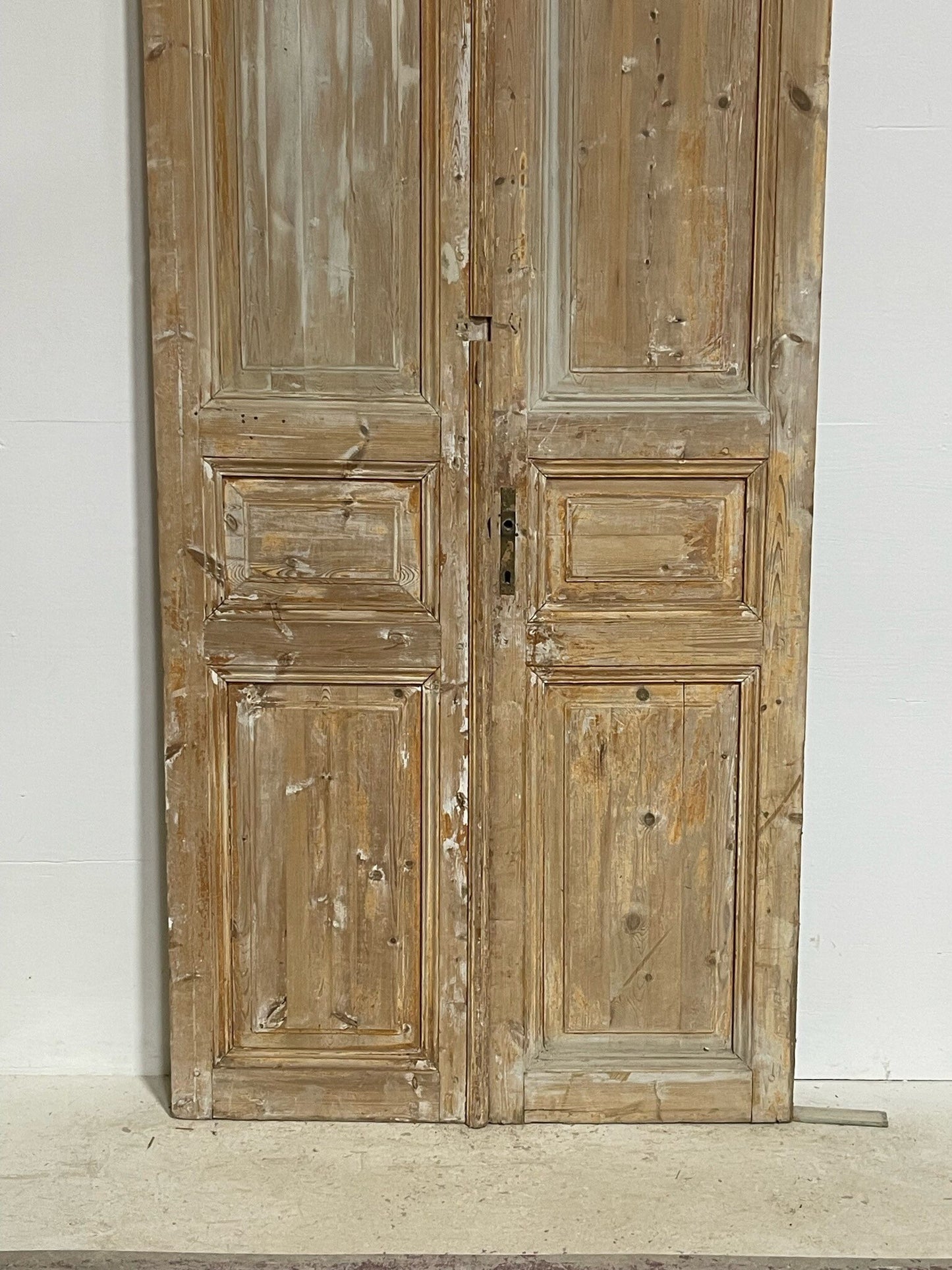 Antique French doors (98.5X43.25) G0168