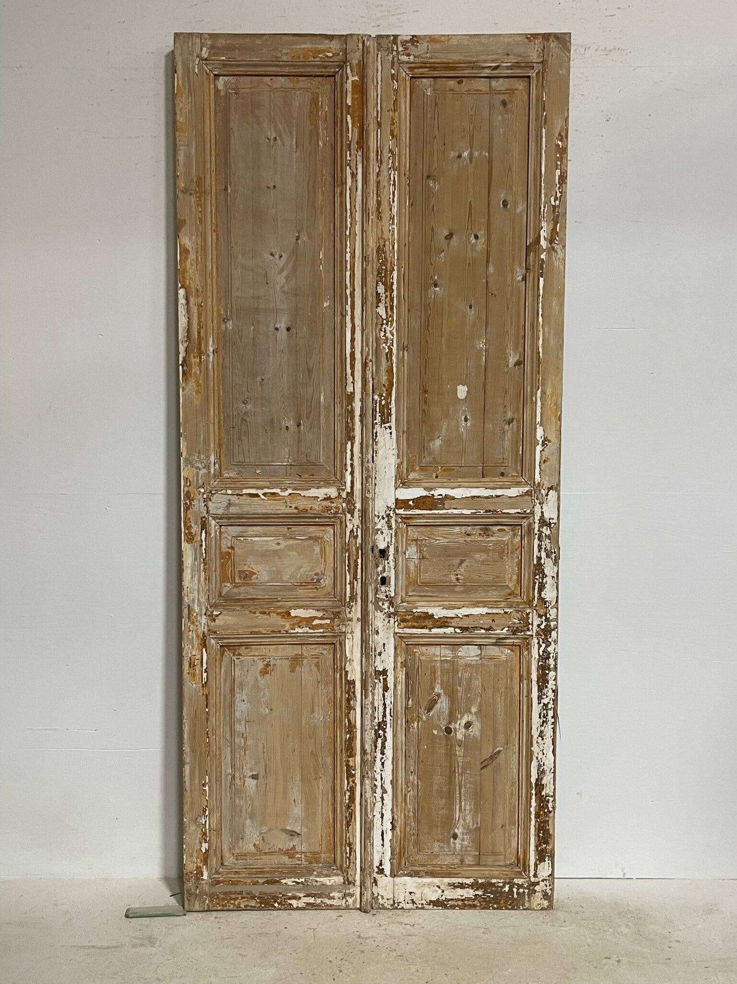 Antique French doors (98.5X43) G0160
