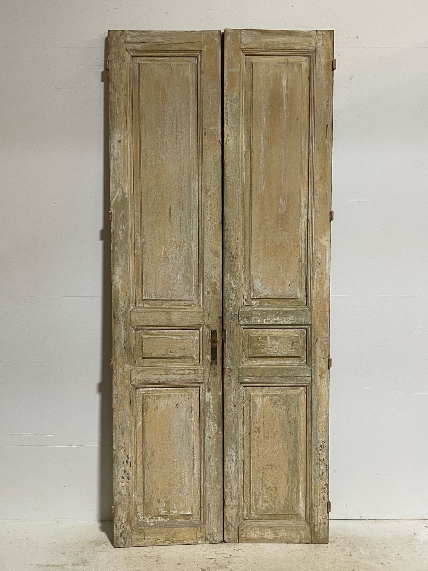 Antique French doors (98.5X42) G0078