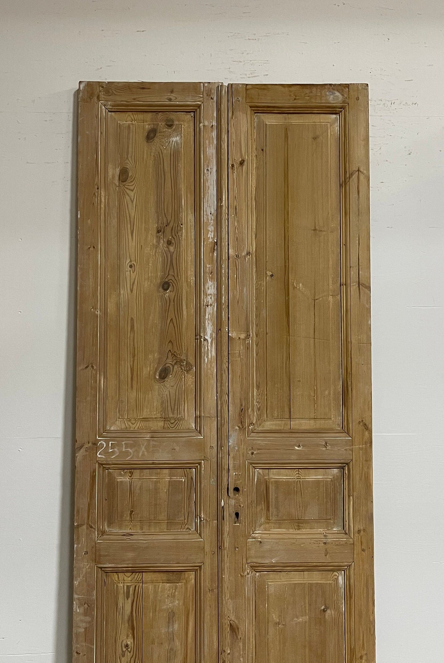 Antique French panel doors (100x42) G0116s