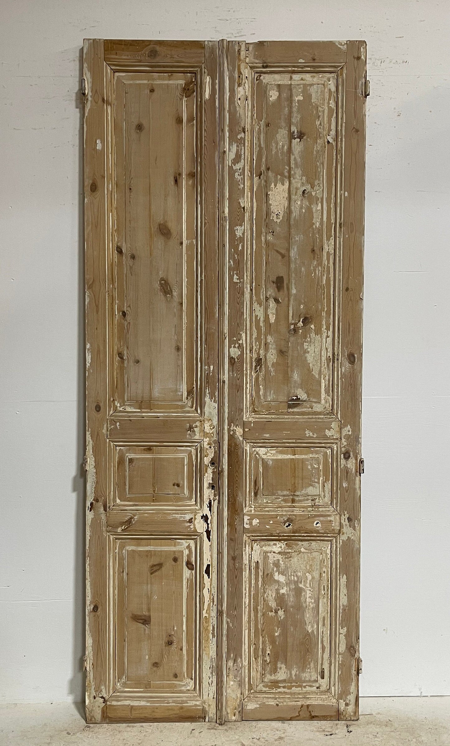 Antique French panel doors (100x41) G0117s