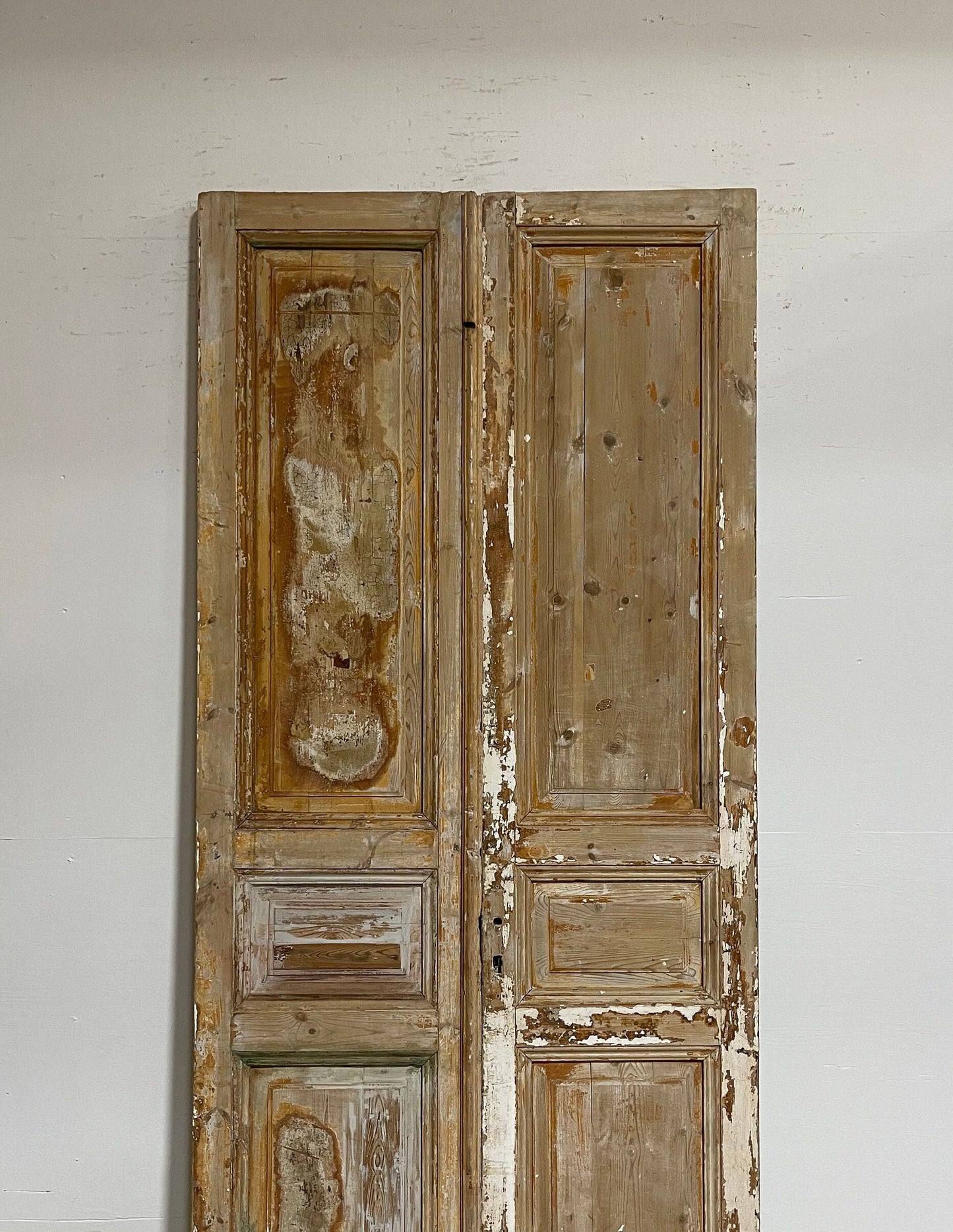 Antique French panel doors (98.5x43) G0128s