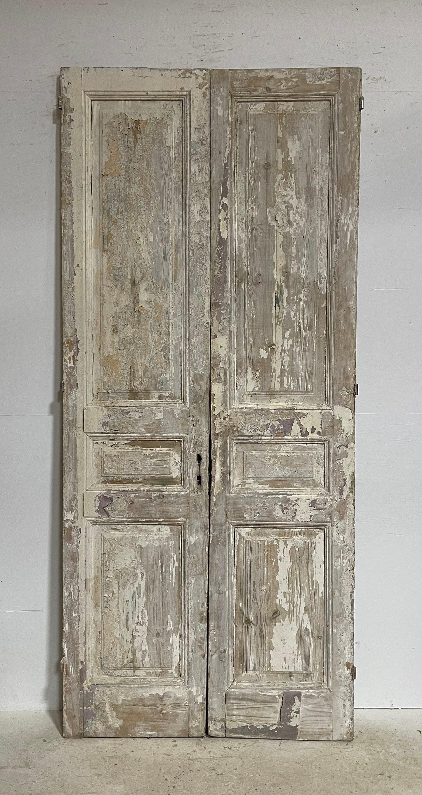 Antique French panel doors (98.25x43) G0140s
