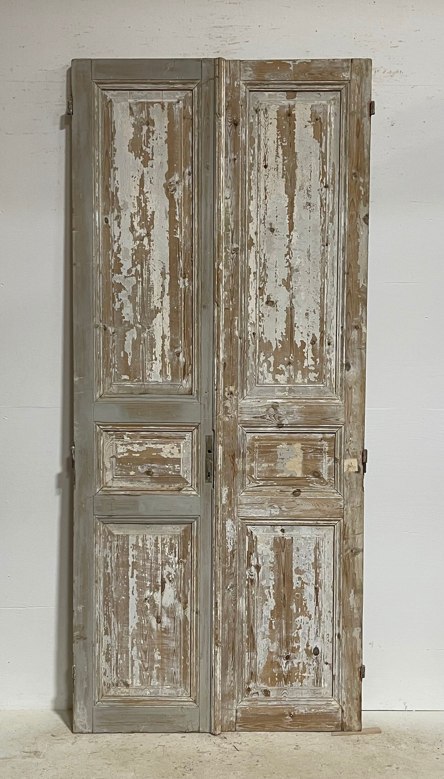Antique French panel doors (98.5x43) G0143s