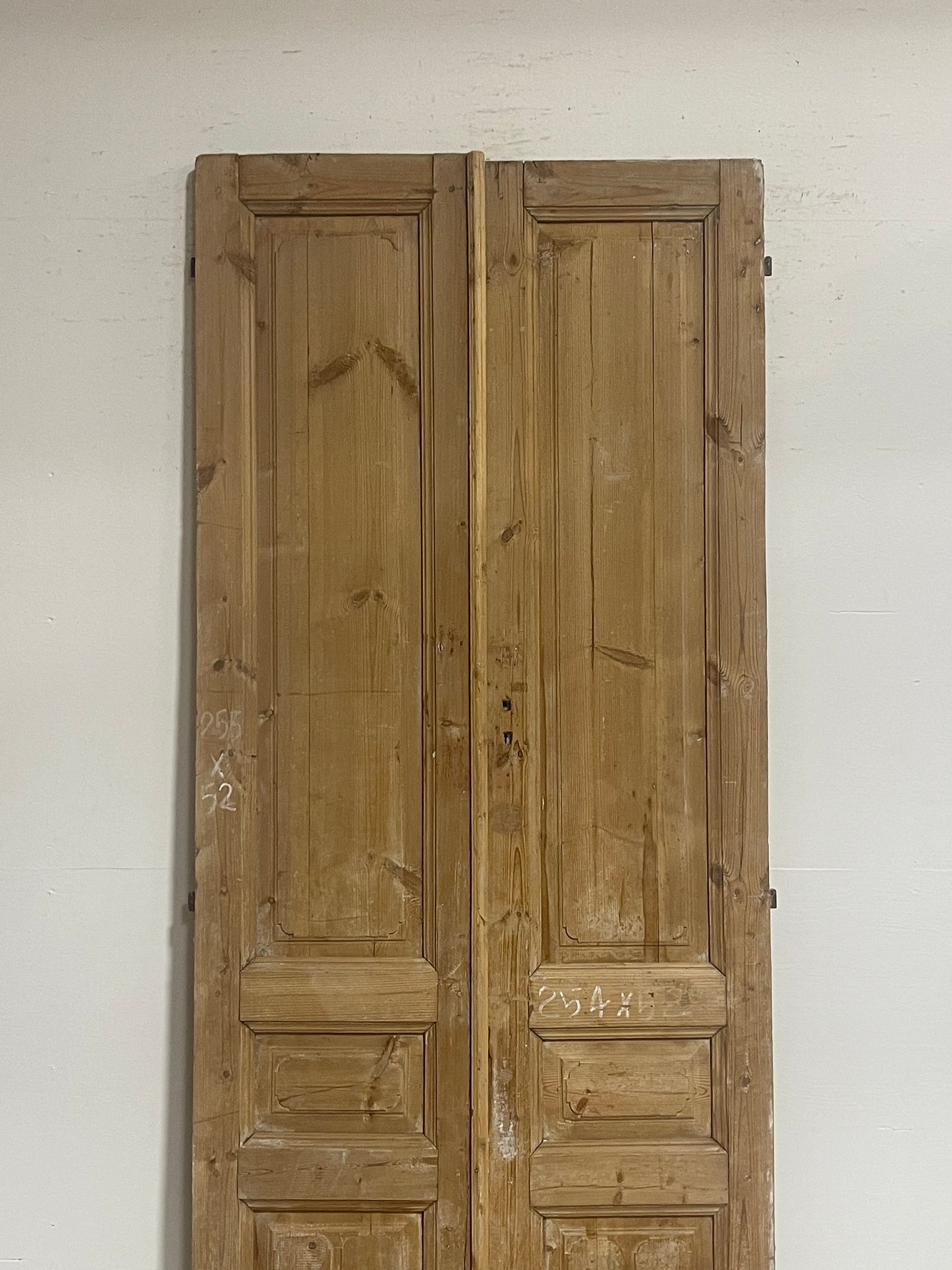 Antique French panel doors (100x41) G0151s