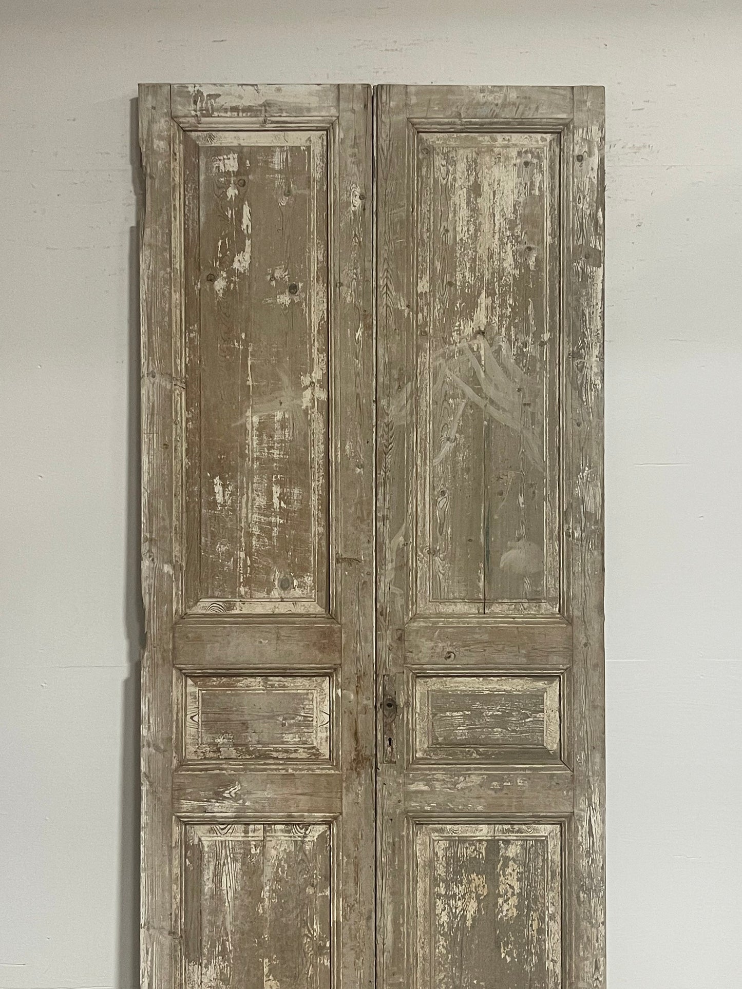 Antique French panel doors (103.5x43.75) G0152s
