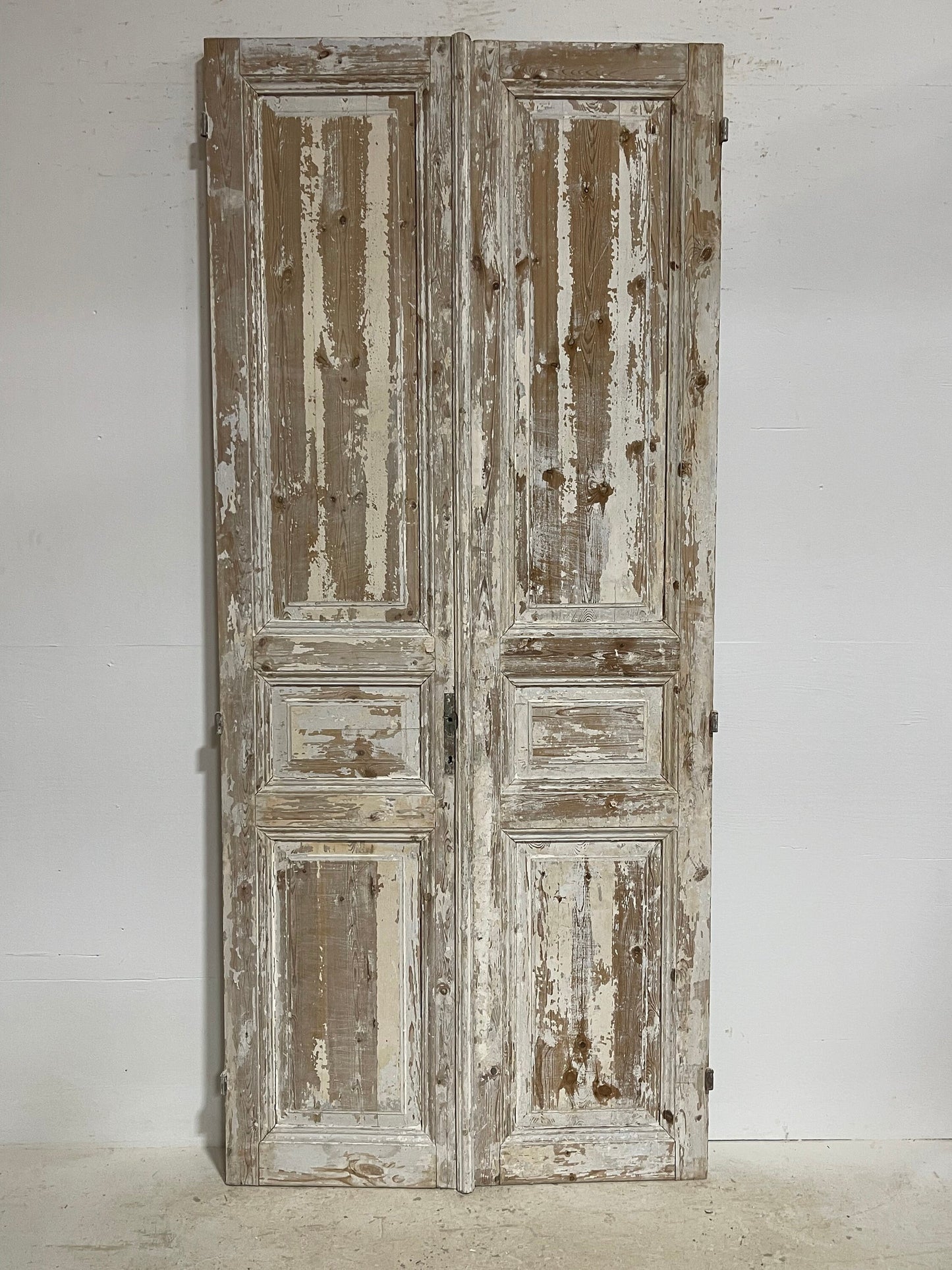 Antique French panel doors (98.5x43.25) G0155s
