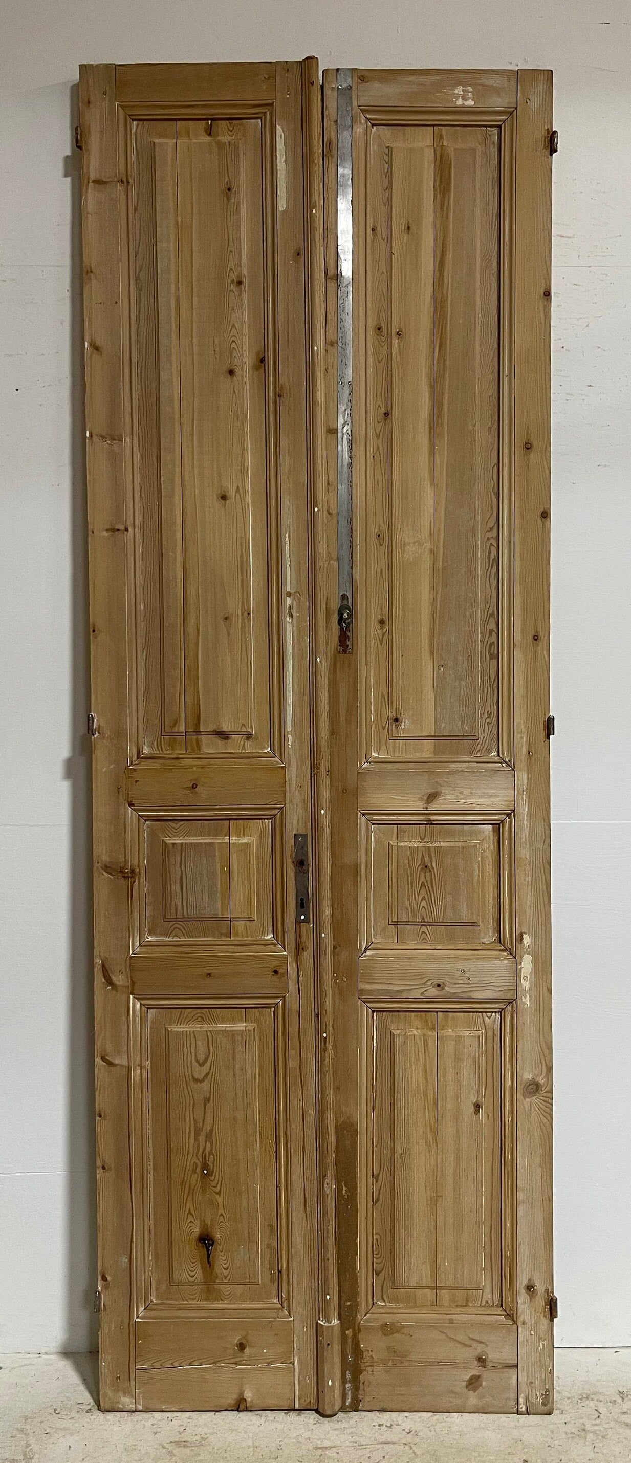 Antique French panel doors (111x38.25) G0042s