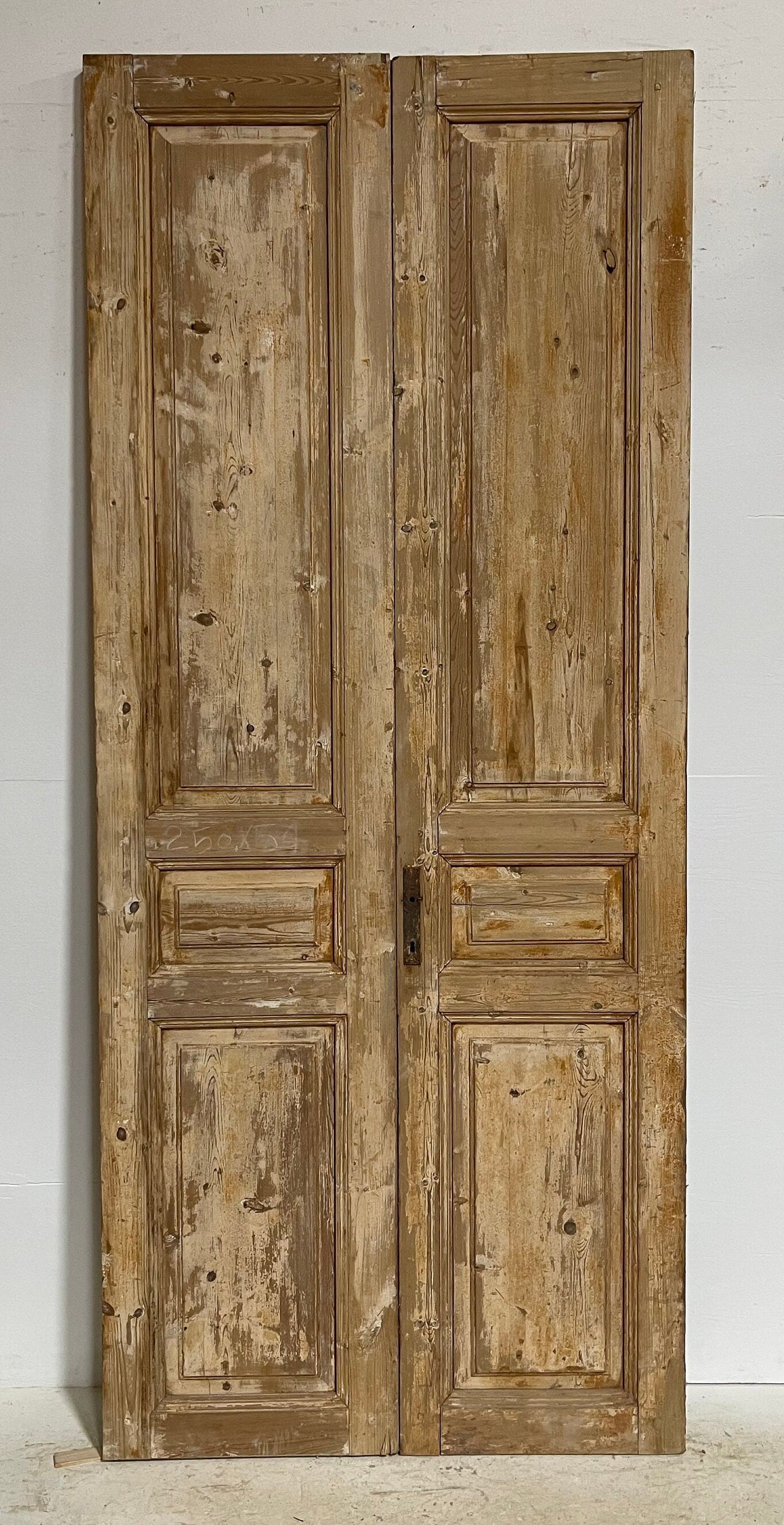 Antique French panel doors (98.5x42) G0053s