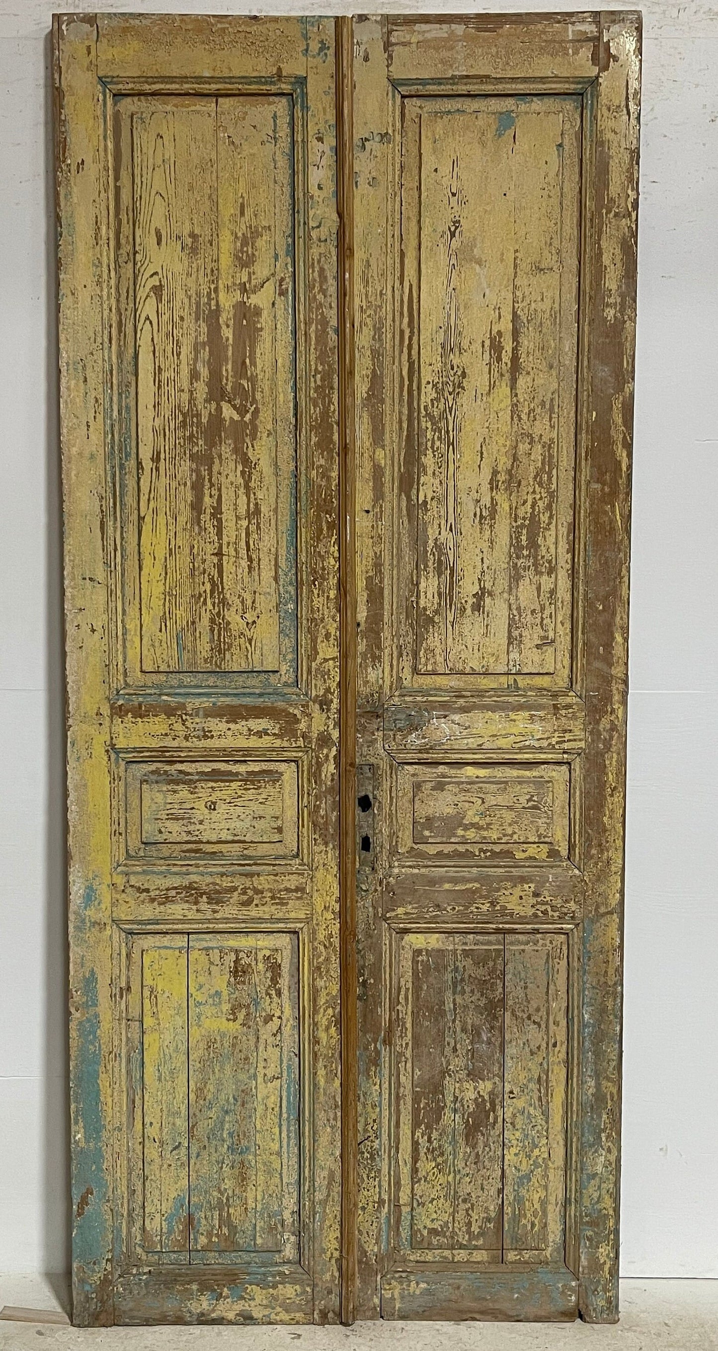Antique French panel doors (97.25x42) G0187s