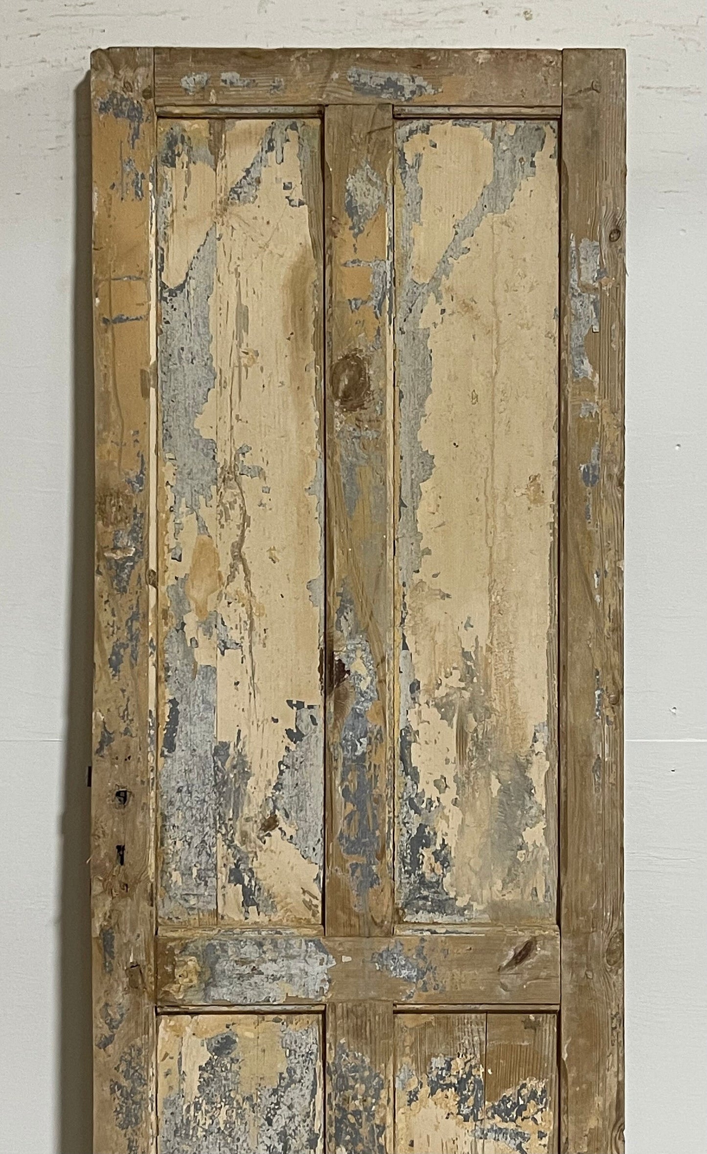 Antique French panel door (87x29.75) G0203s