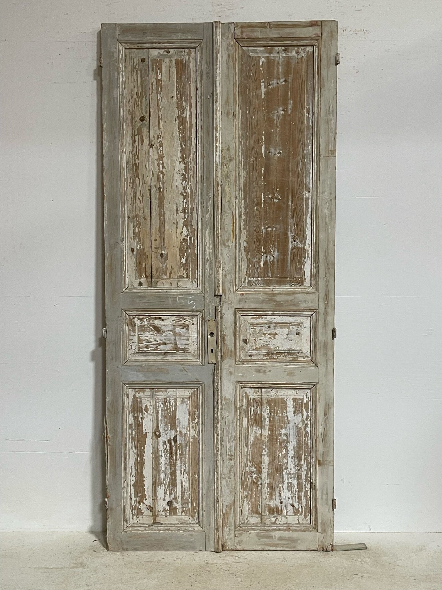Antique French doors (98.5X43) G0160