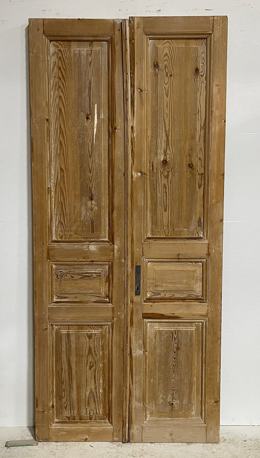 Antique French panel doors (90x40) H0060s giveaway