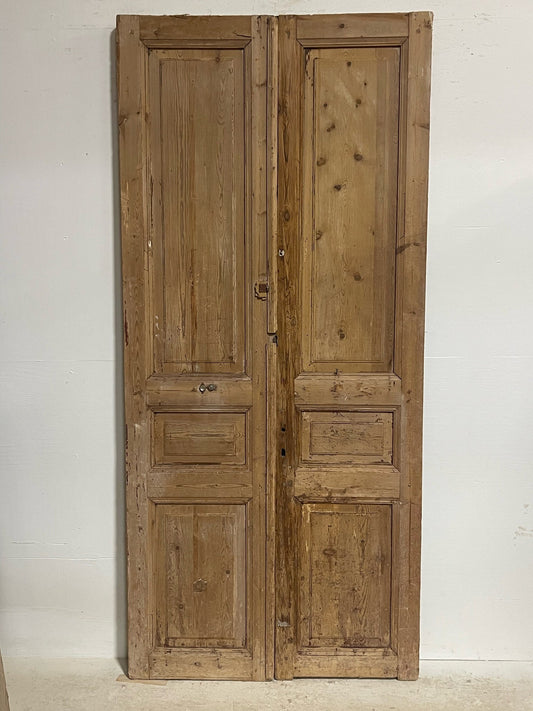 Antique French door (96x43.75) H0086