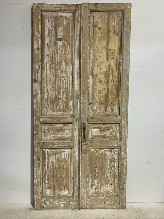 Antique French door (96x44.5) H0087