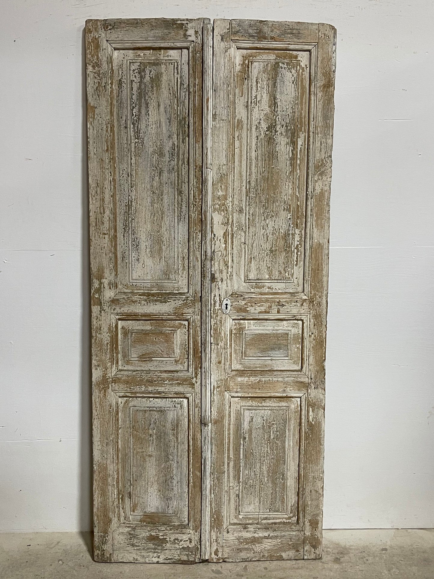 Antique French panel doors (81.25x36) I086s