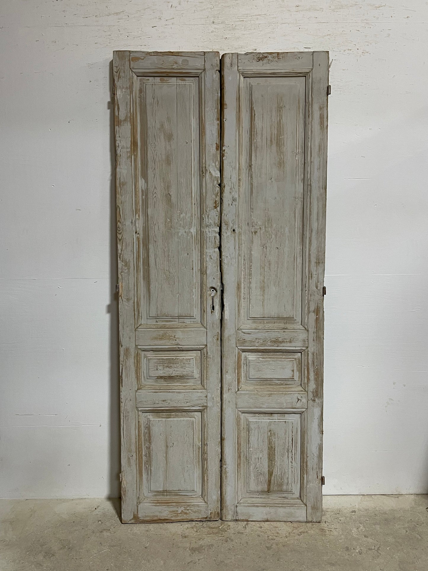Antique French panel doors (90.75x39.75) I111s